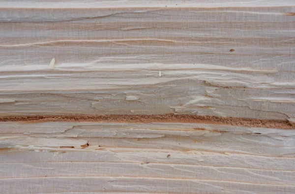 Holz Geschnitten Textur Für Hintergrund — Stockfoto