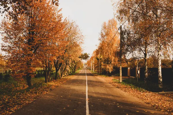 Outono Estrada Que Estende Para Distância Com Folhagem Nas Linhas — Fotografia de Stock