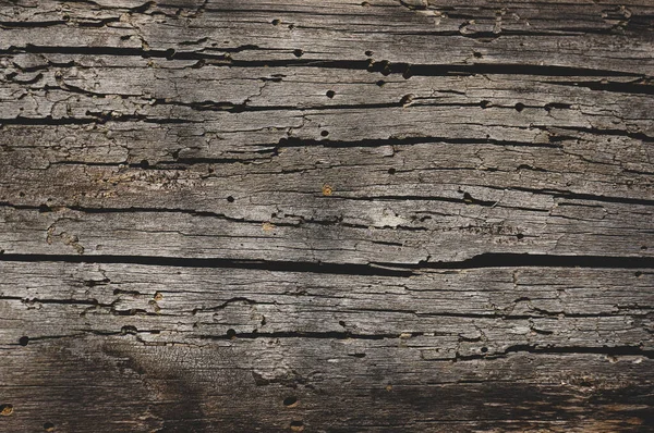Hintergrund Von Altem Holz Das Von Borkenkäfern Gefressen Wurde — Stockfoto