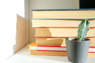 Eğitim ve okuma konsepti - raftaki kitap yığını