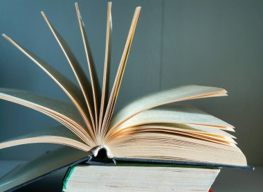  Eğitim ve bilgelik kavramı. Gün ışığında açık bir kitap.