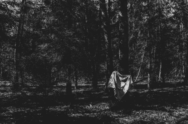 Fantasma Volando Manto Blanco Bosque Encantado — Foto de Stock