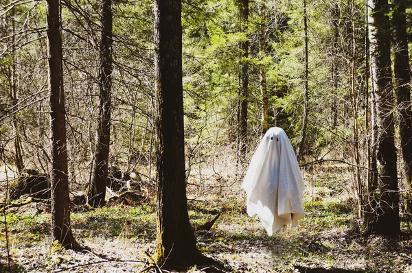 Fantasma Subindo Manto Branco Uma Floresta Encantada — Fotografia de Stock