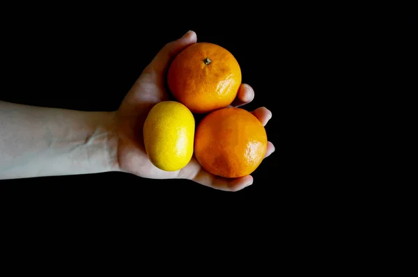 Flicka Som Håller Tangeriner Händerna Svart Bakgrund Med Plats För — Stockfoto