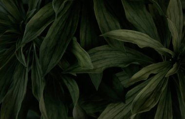 Yeşil yeşillik tropikal dekoru kapat, arka plan için harika, taze çevresel çevre titreşimleri