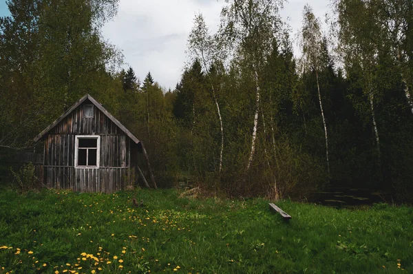 Uma Pequena Cabana Está Escondida Floresta — Fotografia de Stock