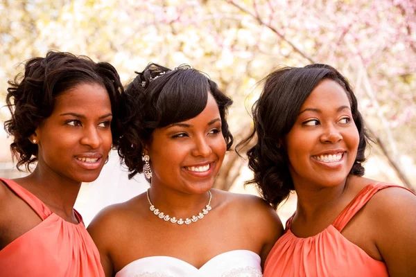 Novia afroamericana con sus damas de honor . — Foto de Stock