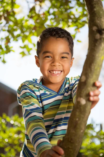 Мальчик играет на дереве . — стоковое фото