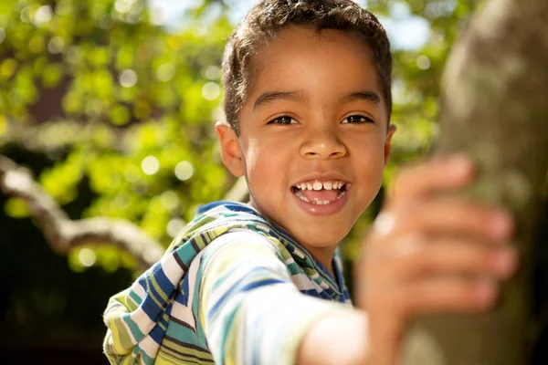 Jongetje spelen in een boom. — Stockfoto