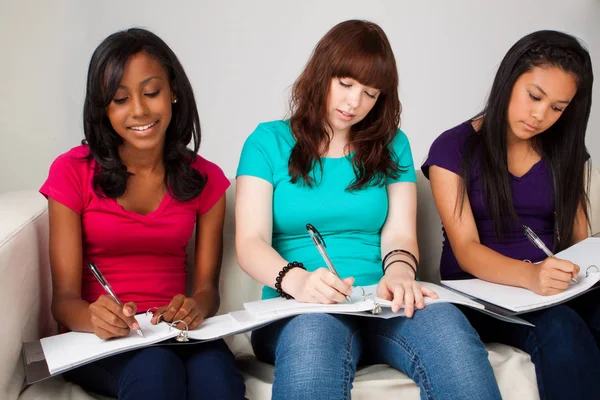 Grupo diverso de adolescentes estudando . — Fotografia de Stock