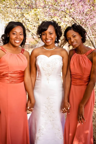 Novia afroamericana con sus damas de honor . — Foto de Stock