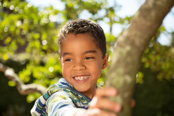 Мальчик играет на дереве . — стоковое фото