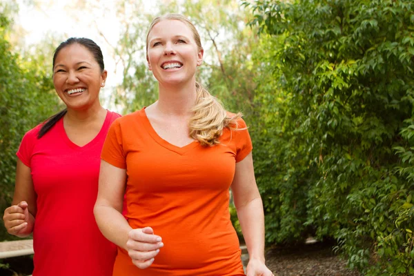 Healthy women exercising and getting fit.