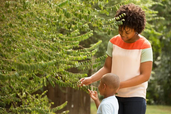 Oynayan genç Afrikalı-Amerikalı anne ve oğlu.