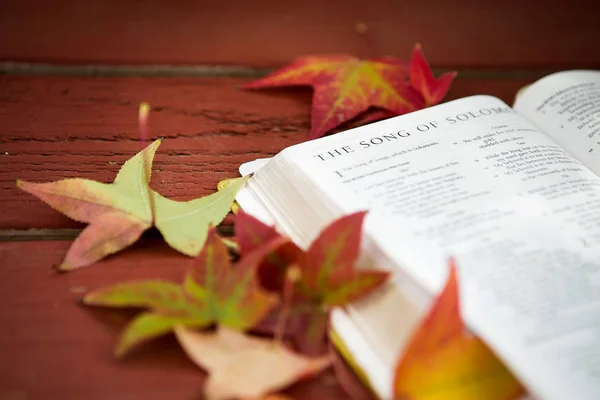 Röd falla bakgrund med Bibeln och blad. — Stockfoto