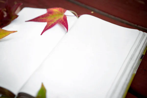 Roter Herbsthintergrund mit einem Buch und Blättern. — Stockfoto