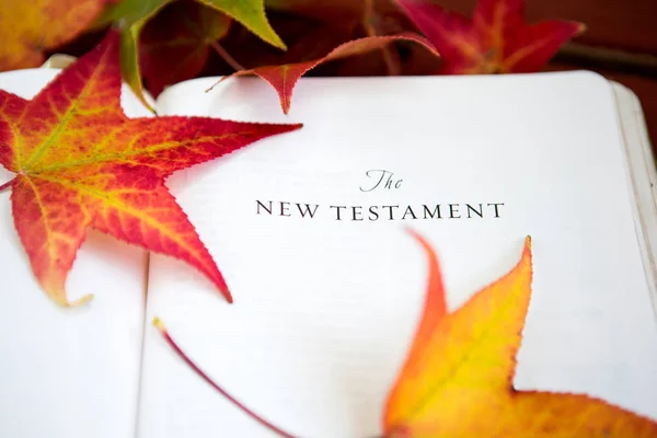 红色秋天背景与圣经和叶子. — 图库照片