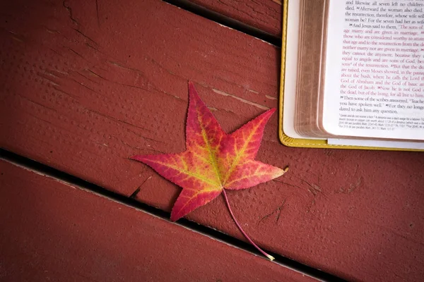 红色秋天背景与圣经和叶子. — 图库照片