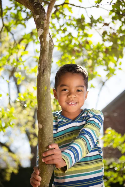 Jongetje spelen in een boom. — Stockfoto