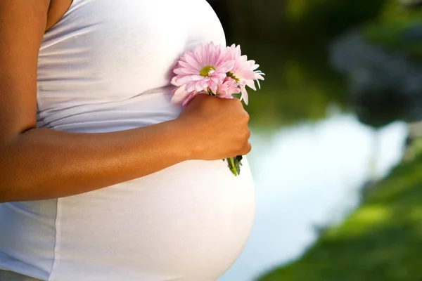 Embarazadas mujeres estómago . — Foto de Stock