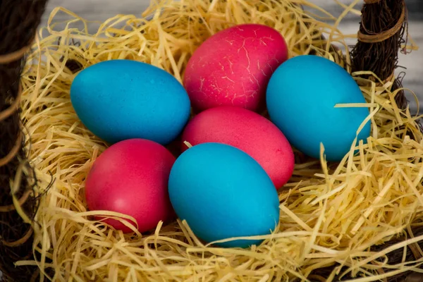 Blauw en rood gekleurde paaseieren — Stockfoto