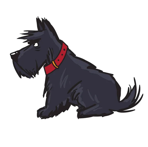 Un terrier escocés. perro negro — Vector de stock