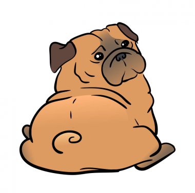 Pug Dog beyaz arkaplanda izole edildi