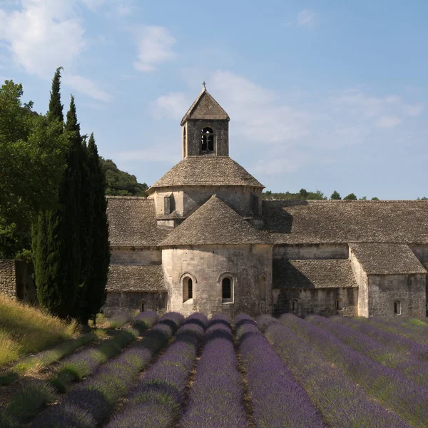 Abbaye de Senanque et champ de lavande, Provence, France — Photo