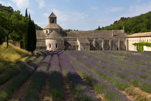 Abbaye de Senanque et champ de lavande, Provence, France — Photo