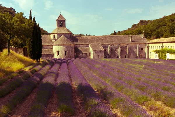 Abadía de Senanque y campo de lavanda, Provenza, Francia —  Fotos de Stock