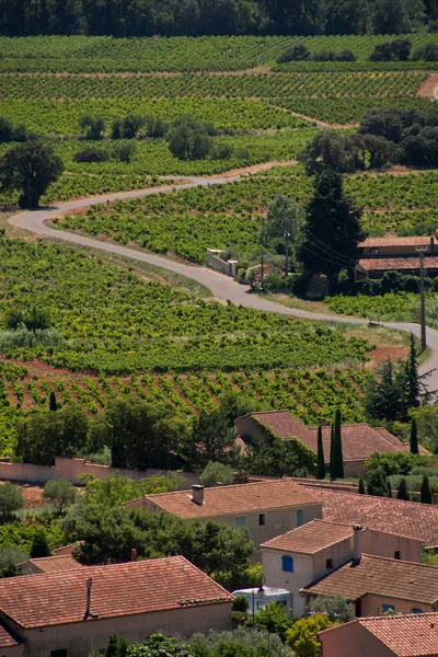 Provencal vineyard , Chateauneuf du Pape,France — Φωτογραφία Αρχείου