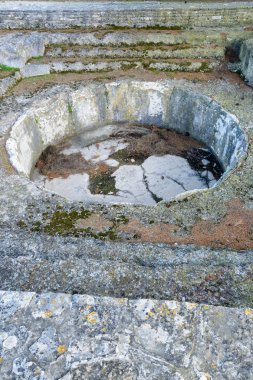 Ada Brioni Hırvatistan 