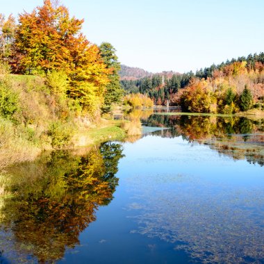 suya yansıtan sonbahar yaprakları 