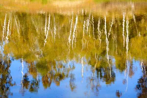 Folhas de outono refletindo na água — Fotografia de Stock