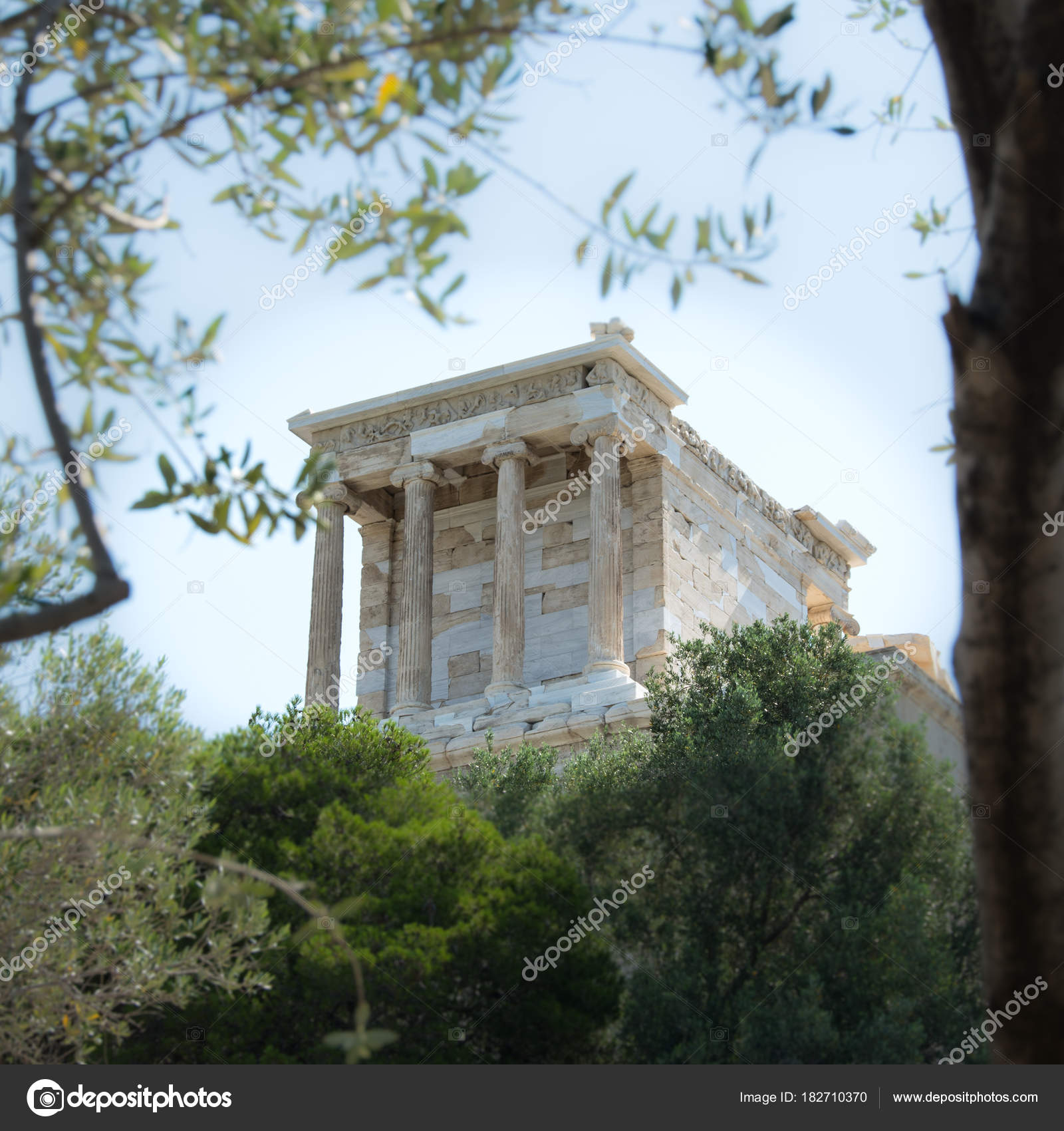 View Acropolis Olive Tree Athens Greece Focused Foreground Leaves ⬇