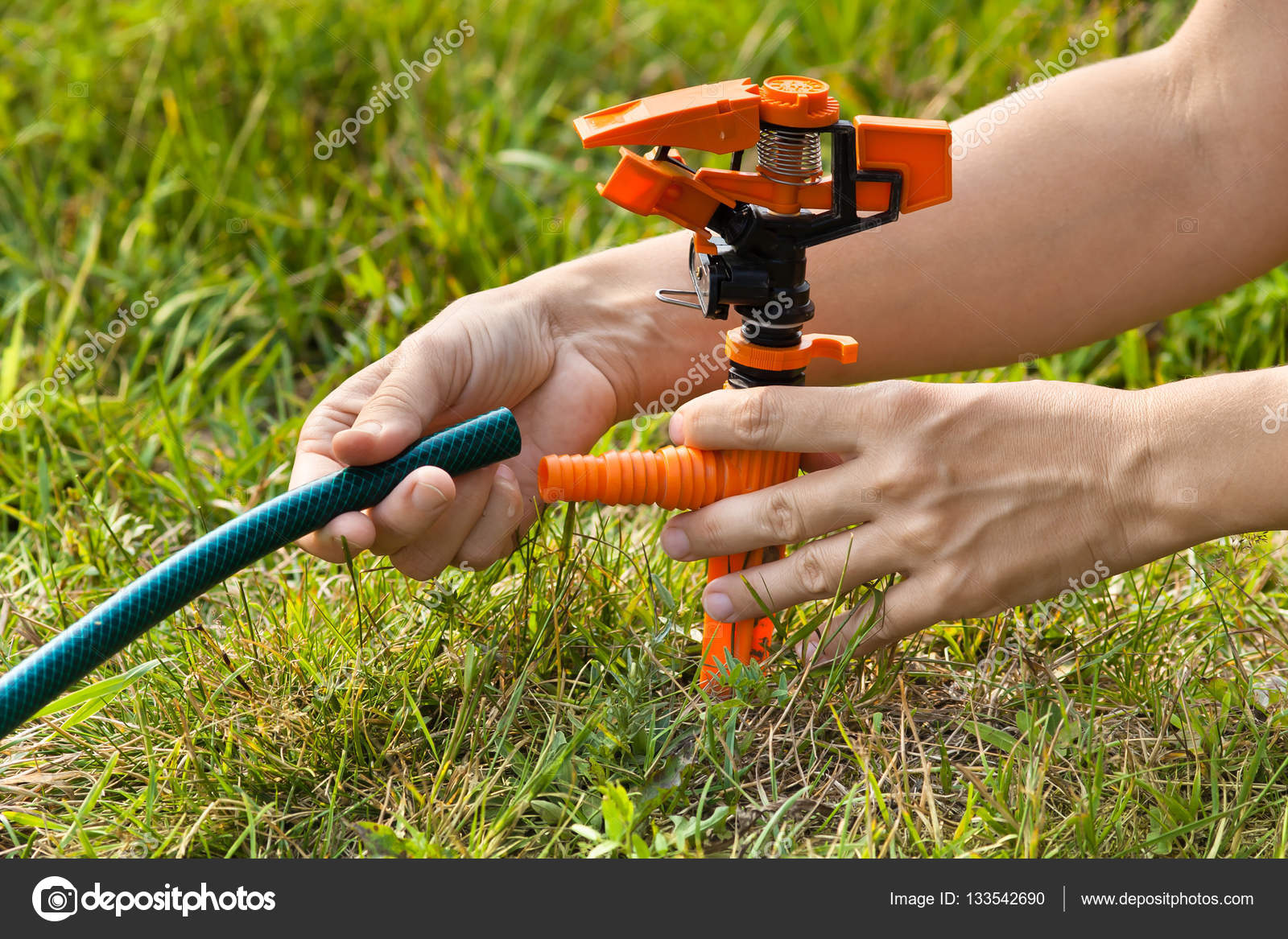 Manos instalación de rociadores para el riego del césped: fotografía de