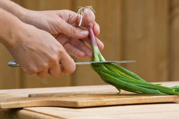 Manos con cebolla verde listas para cortar — Foto de Stock