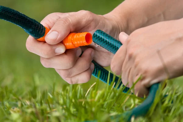 hands connected garden hose to irrigate the lawn