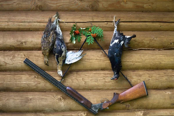 A hunting shotgun and three downed grouses hang on the wall of a — Stock Image A hunting shotgun and three downed grouses hang on the wall of a Stock Image