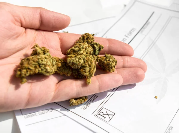 Main Masculine Tenant Marijuana Médicale Formulaire Prescription Sur Fond — Photo