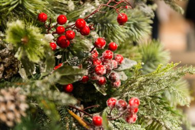 MOSCOW, RUSSIA - 5 HAZİRAN 2017: AVM 'de süslü Noel ağacı ve çam kozalakları yakın plan