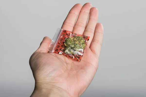 Männliche Handtasche Mit Medizinischem Marihuana Isoliert Auf Grauem Hintergrund — Stockfoto