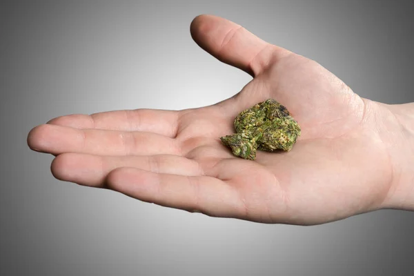Man Hand Håller Medicinsk Marijuana Isolerad Grå Bakgrund — Stockfoto