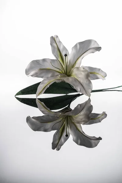 白い背景の暗い光沢のあるテーブルの上の装飾人工ユリ — ストック写真