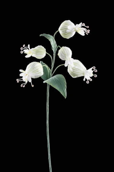 Flor Artificial Sobre Fondo Negro — Foto de Stock