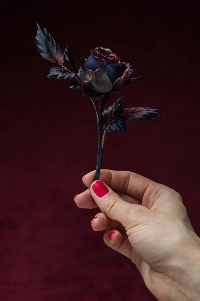 Décoration Gothique Rose Artificielle Main Féminine Sur Fond Rouge — Photo