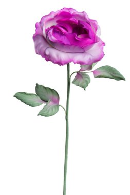 Beyaz arkaplanda yapay mor gül