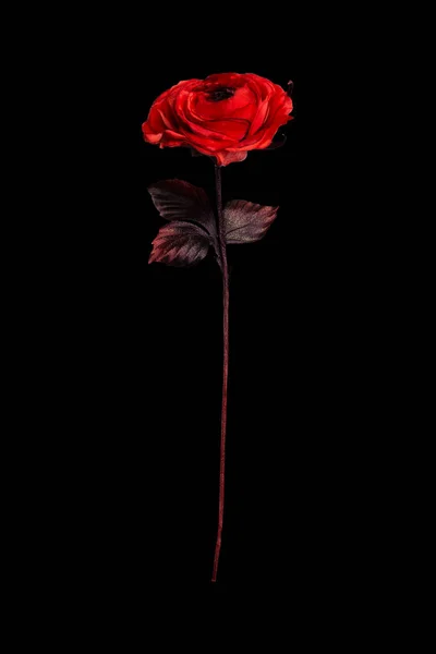 Rose Rouge Artificielle Sur Fond Noir — Photo