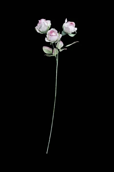 Rose Rose Artificielle Sur Fond Noir — Photo