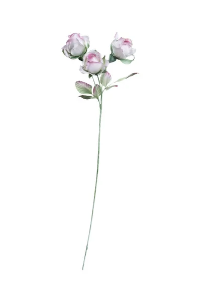 Rosa Artificiale Sfondo Bianco — Foto Stock